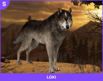 Loki, the best hero in Wolf Game