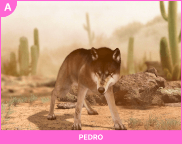 Pedro - A tier, legendary hero in Wolf Game