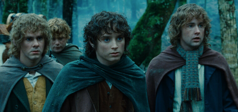 The Lord of the Rings: The Fellowship - Frodo and his hobbit companions