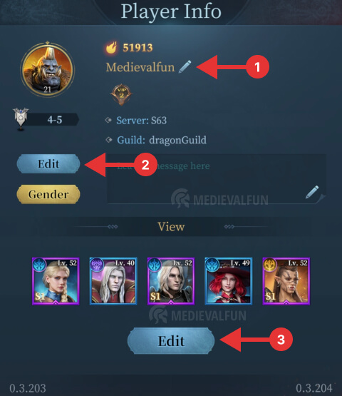 How to customize the game profile in Ever Legion