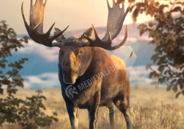 Giant Moose, the best support alpha in Beast Lord: The New Land